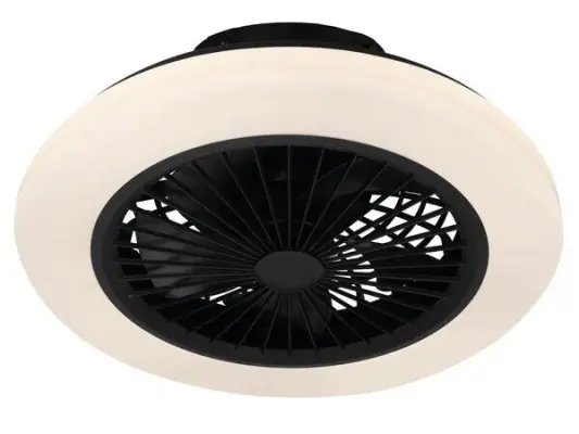 Ceiling Fan With Lamp